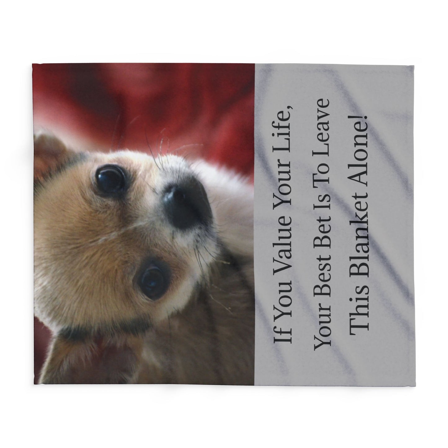 Pawsitively Cozy Pet Blankets