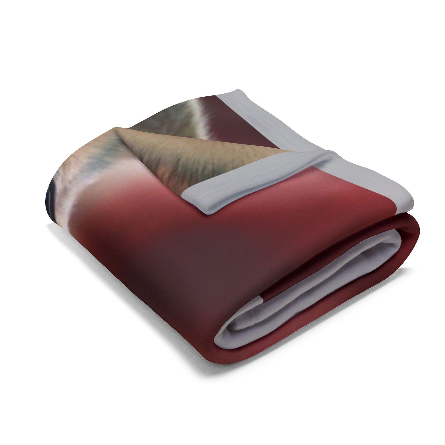 Pawsitively Cozy Pet Blankets