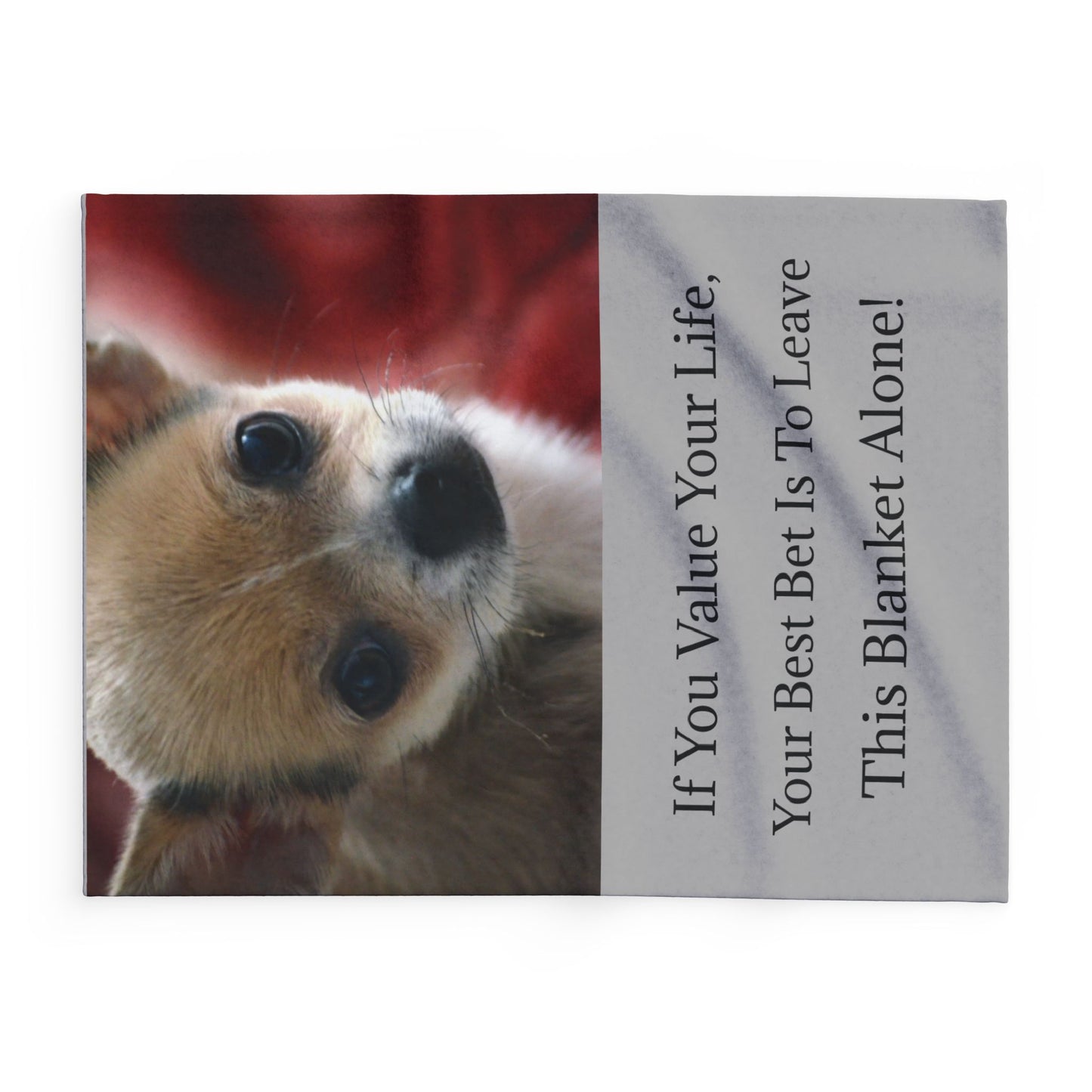 Pawsitively Cozy Pet Blankets