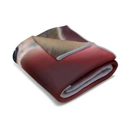 Pawsitively Cozy Pet Blankets